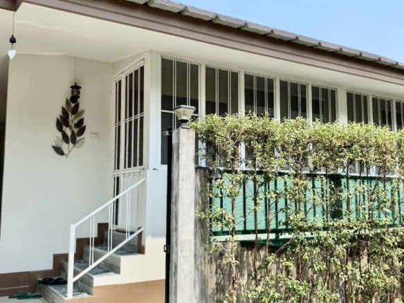 Residential entrance with white stairs and railing leading to a glass door, next to a tall hedge along a gated wall